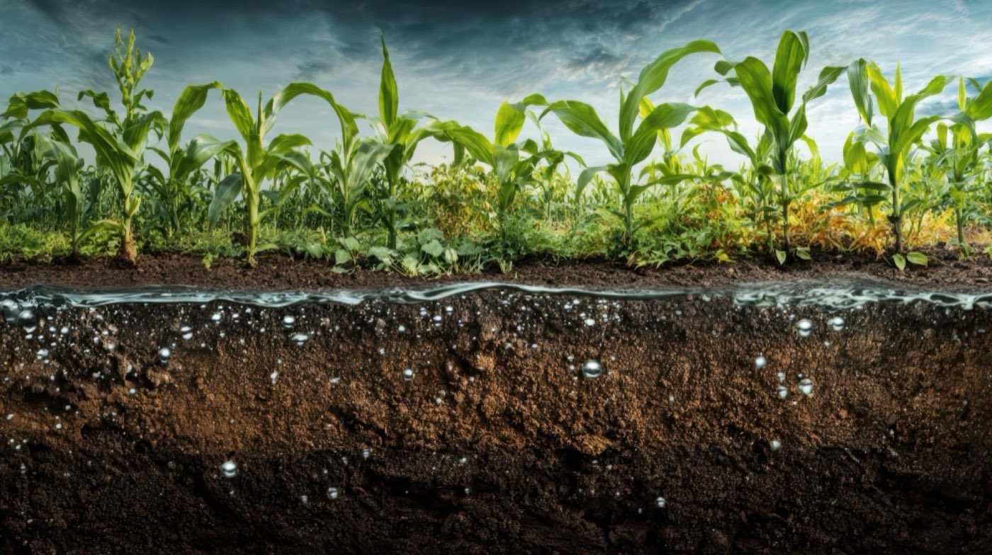 Urea sourcing